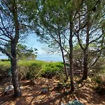 Secluded Fisherman's Krknata, Dugi Otok - 8150 Zaglav