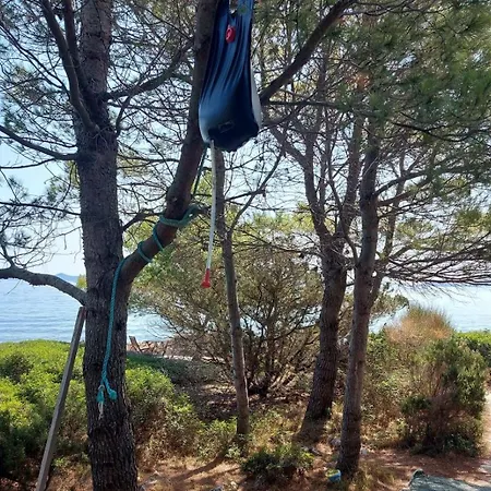Secluded Fisherman's Krknata, Dugi Otok - 8150 Σπίτι διακοπών